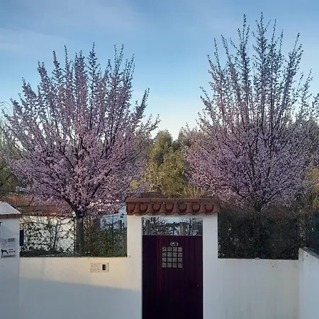 Tranquilla * Oliveira do Hospital