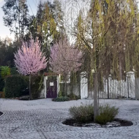 Apartment Tranquilla