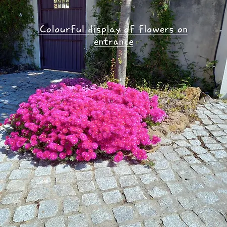 Tranquilla Apartment Oliveira do Hospital