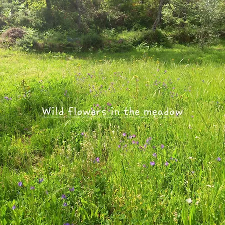 Tranquilla Apartment