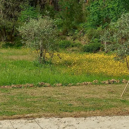 Apartment Tranquilla Oliveira do Hospital