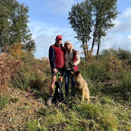 Apartament Tranquilla *