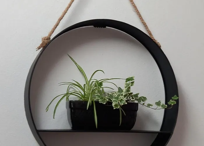 Appartement Tranquilla