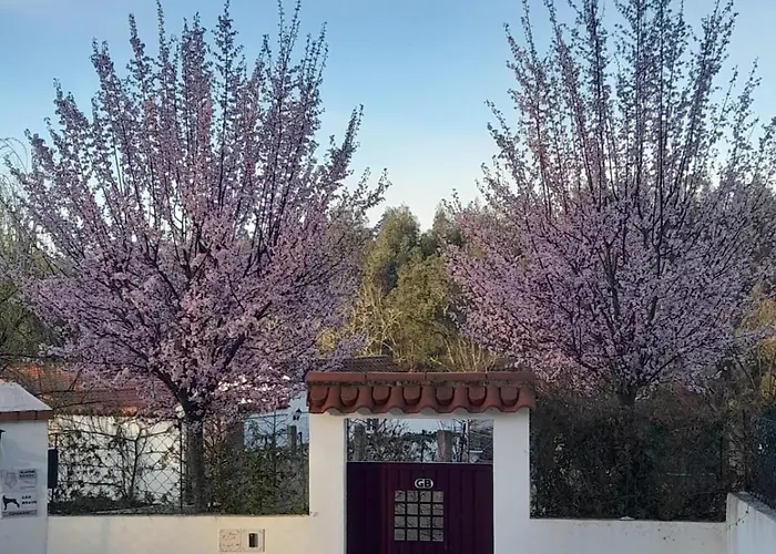 Tranquilla * Oliveira do Hospital