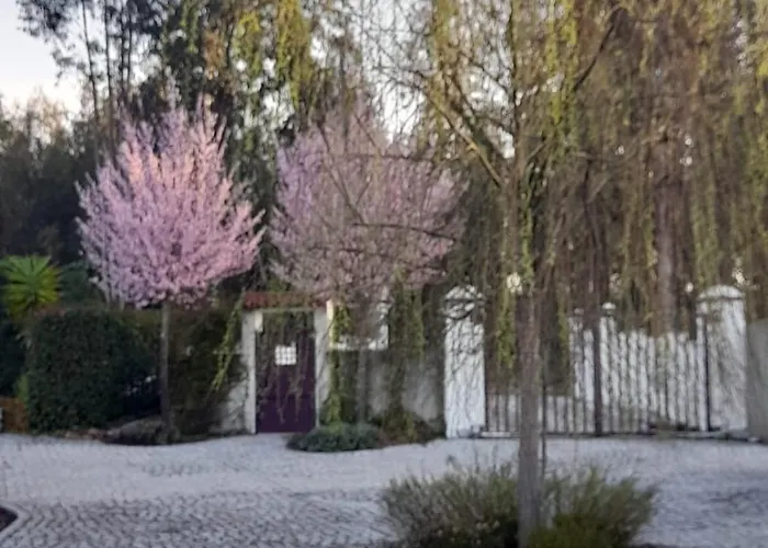 Appartamento Tranquilla