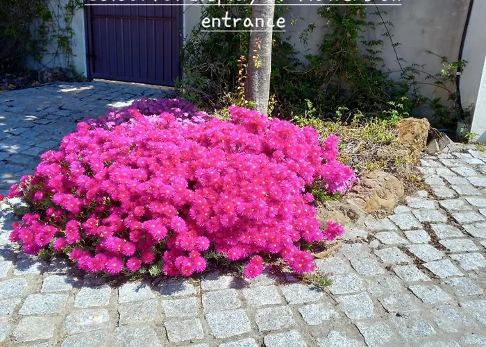 Tranquilla Appartement Oliveira do Hospital