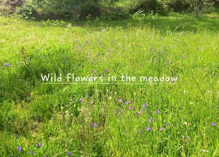 Tranquilla Appartamento