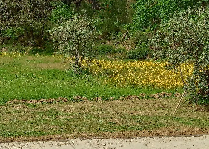 Appartement Tranquilla Oliveira do Hospital