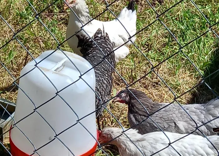 Tranquilla Appartement Oliveira do Hospital